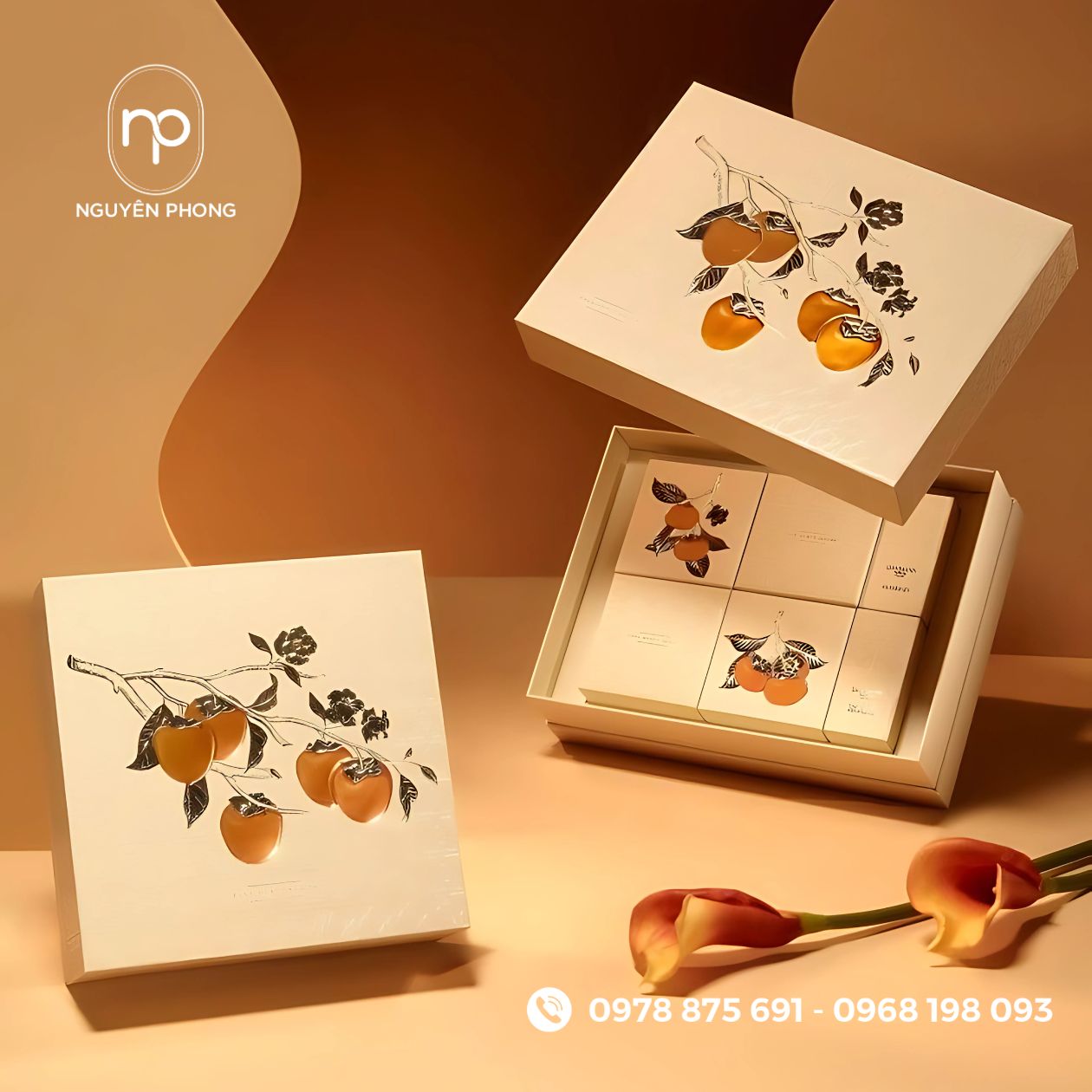 Mẫu hộp âm dương đựng hồng treo gió